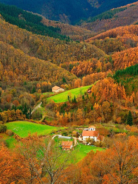 Hostal Jai Alai Leitza  Bagian luar foto