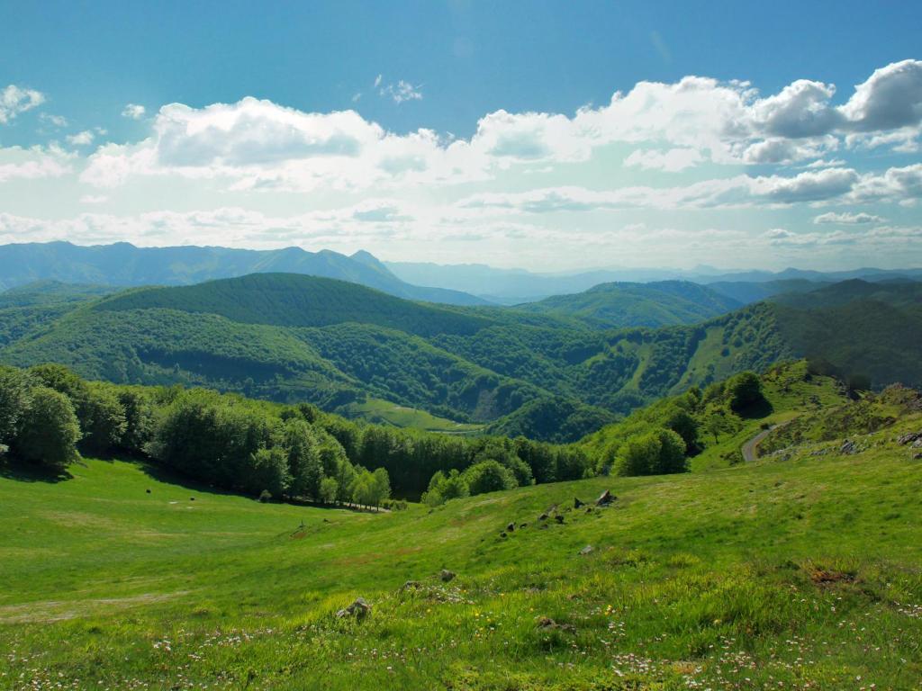 Hostal Jai Alai Leitza  Bagian luar foto